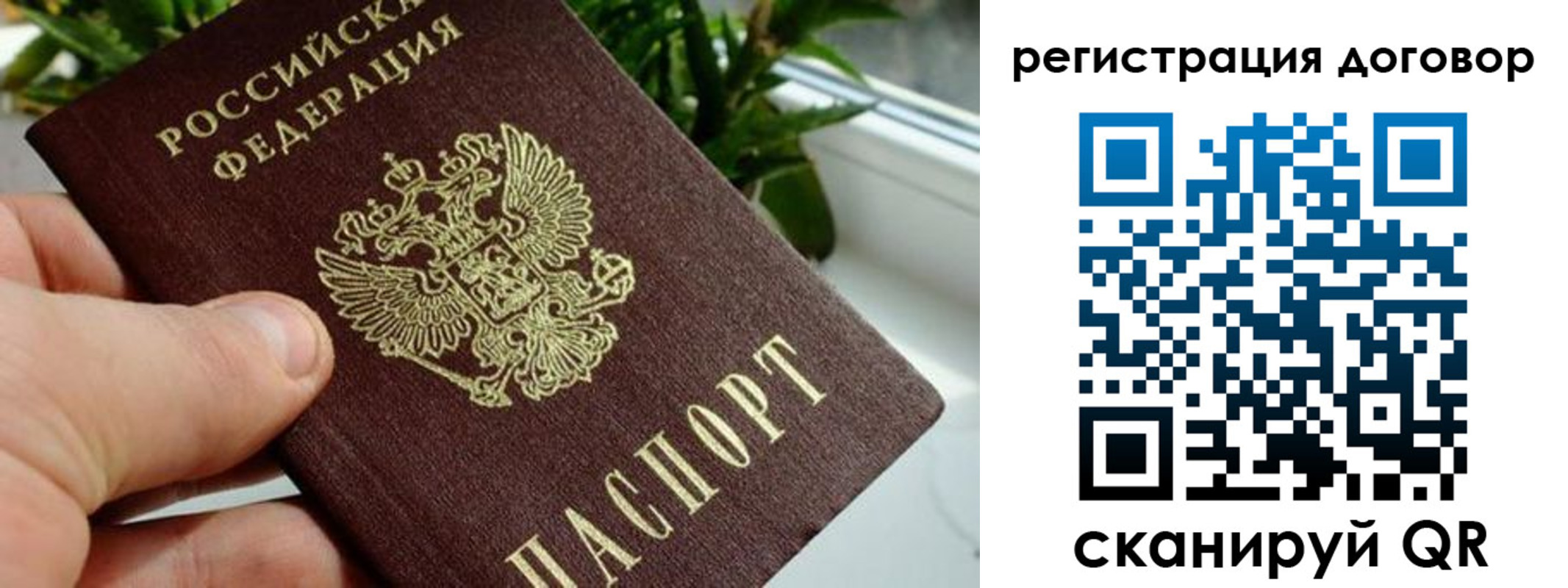 прописка ребенка в Северске